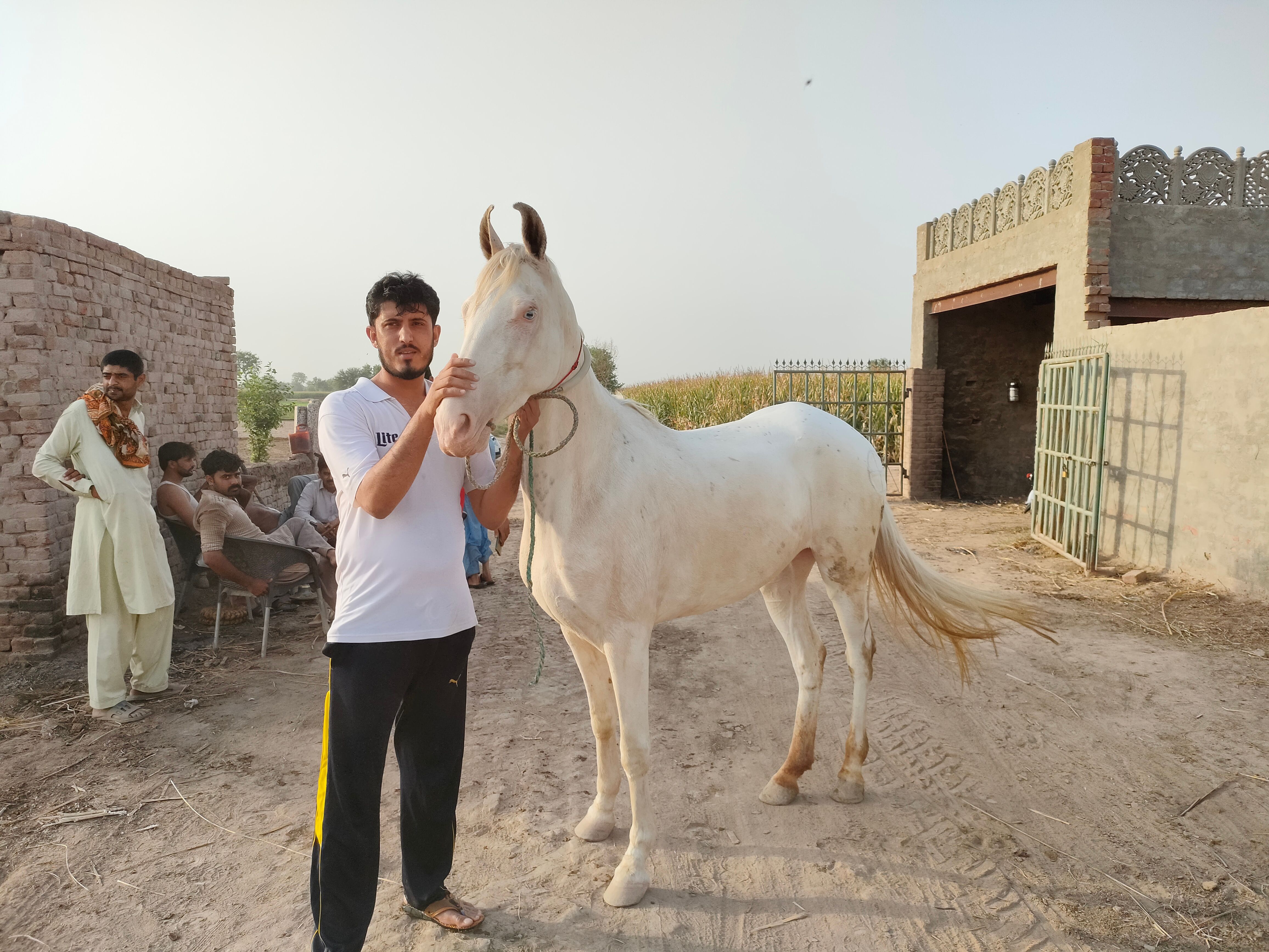 A man stands with a white horse in a rural village setting, capturing everyday life.