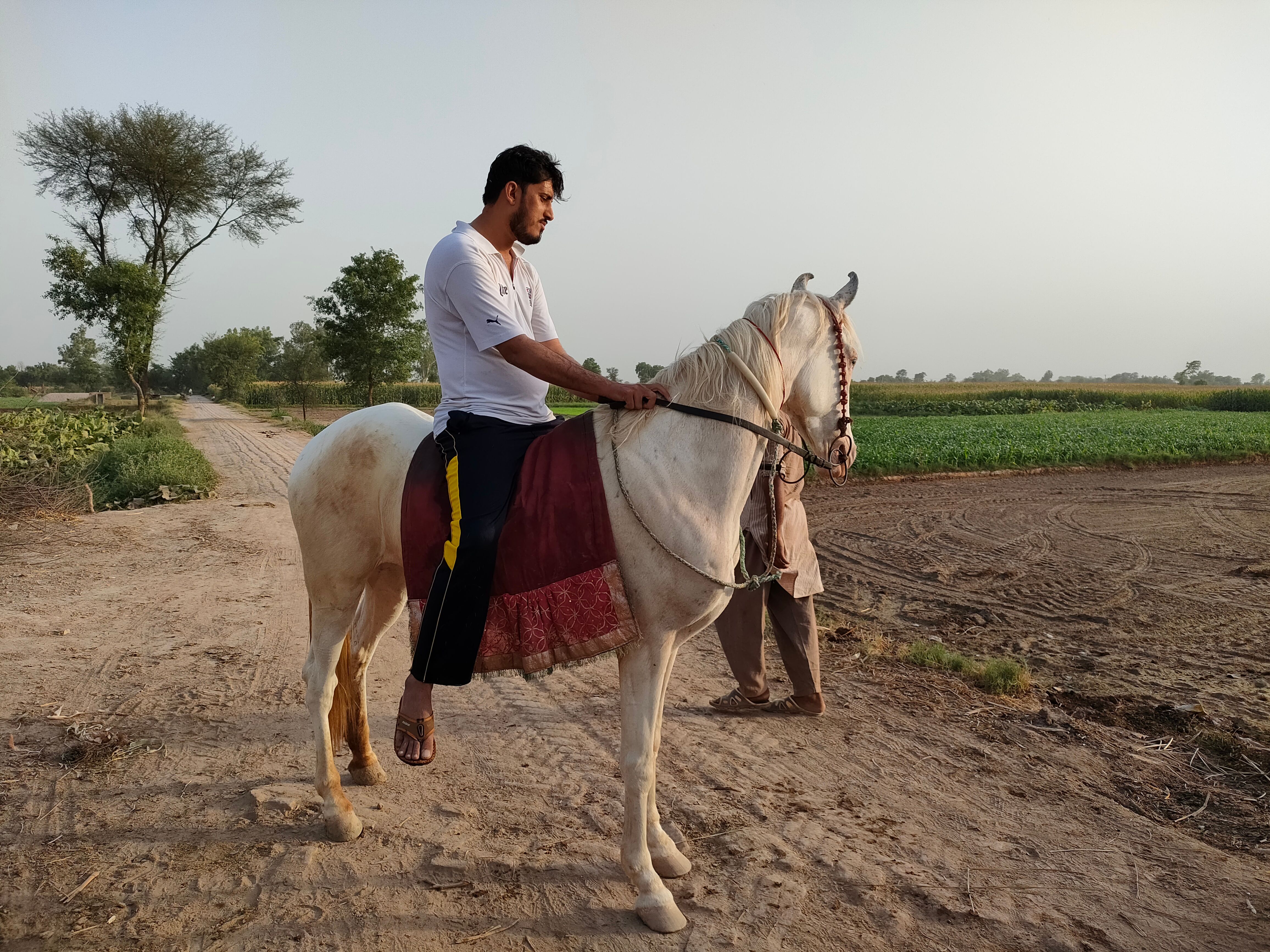 A man on a white horse, riding through a rural countryside dirt path in the daytime.