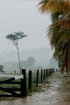 Lush tropical countryside during rain, with mist and wooden posts lining a dirt road.