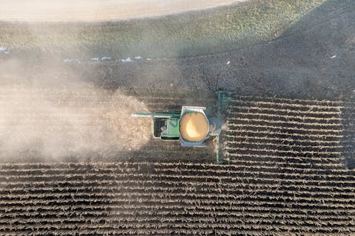 Aerial view of a combine harvesting corn