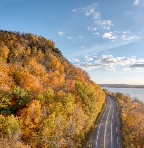Free Aerial view of a vibrant autumn landscape with a winding road in Stockholm, Wisconsin. Stock Photo