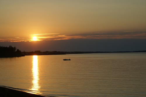 夏天, 岸邊, 日落 的 免费素材图片
