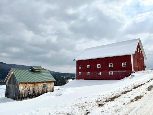 Snow on a Farm