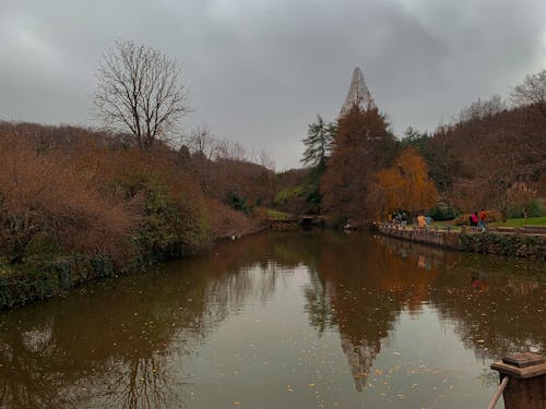 The world reflected in water!