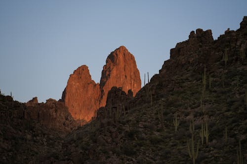 Foto profissional grátis de árido, Arizona, cacto