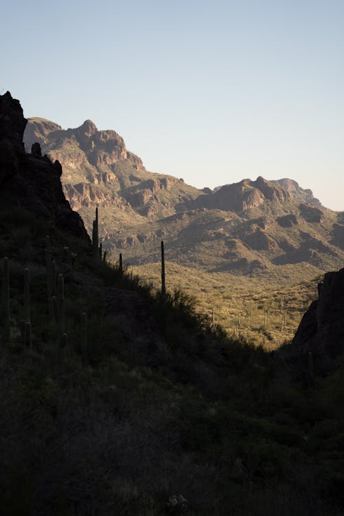 A view of the mountains and desert from a trail
