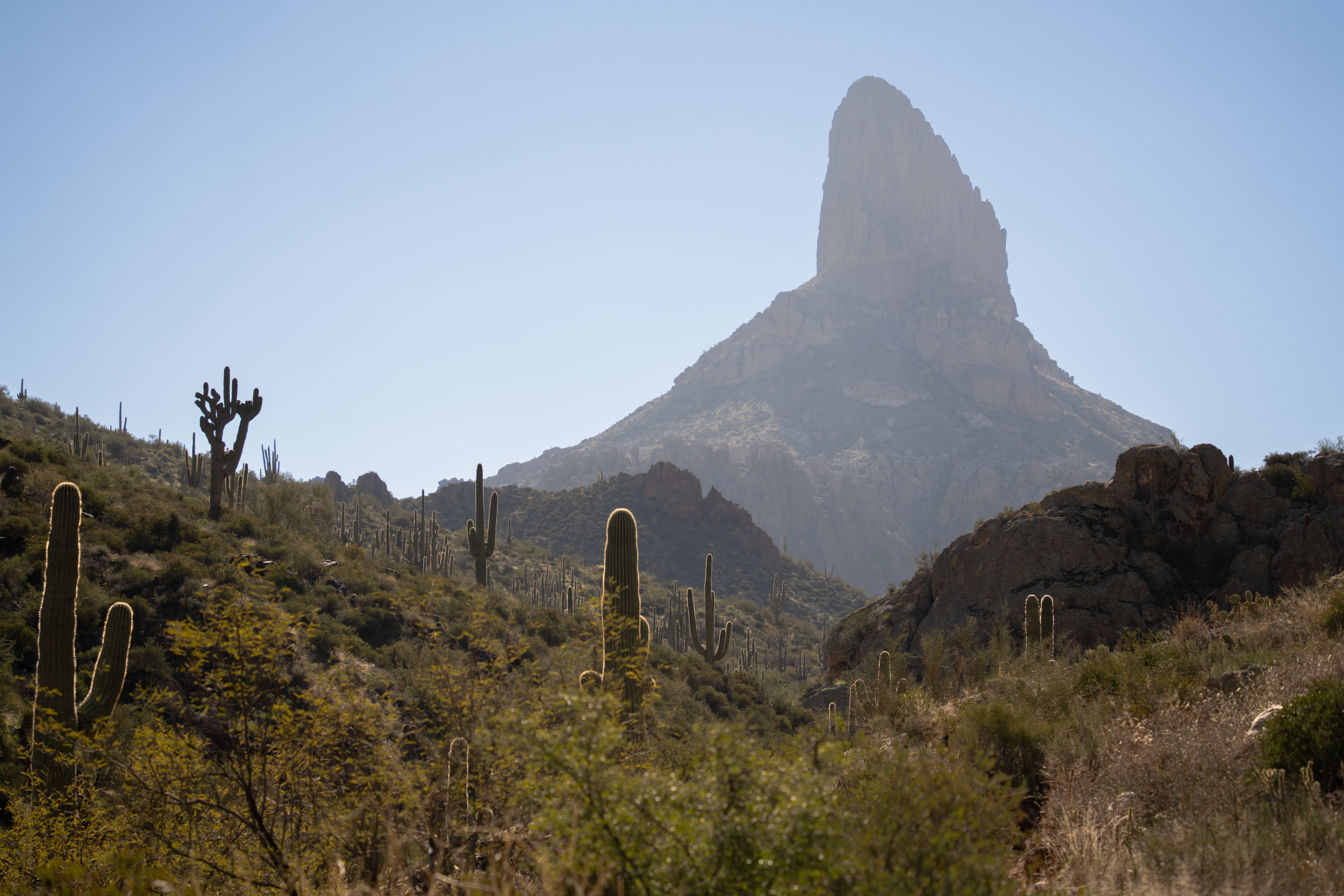 Gila Wilderness Hiking Guide: Best Trails, Hot Springs, and Cliff Dwellings