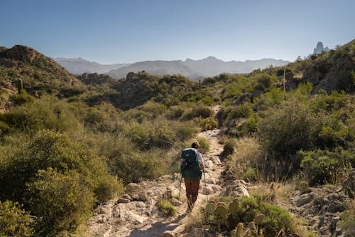 A hiker on a trail in the desert
