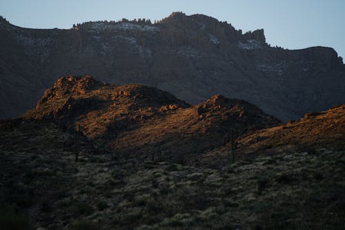 A mountain range with a few trees and bushes