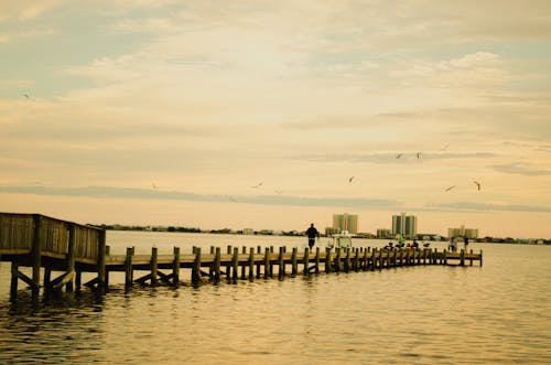城鎮, 岸邊, 日落 的 免費圖庫相片