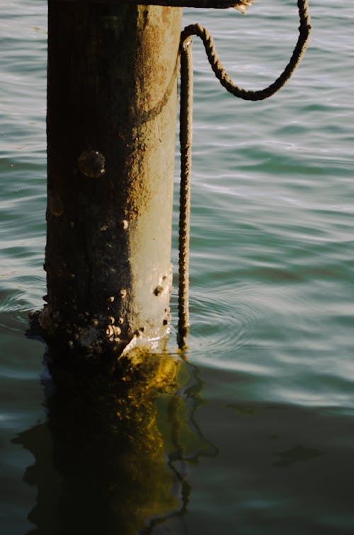 기둥, 로프, 물의 무료 스톡 사진