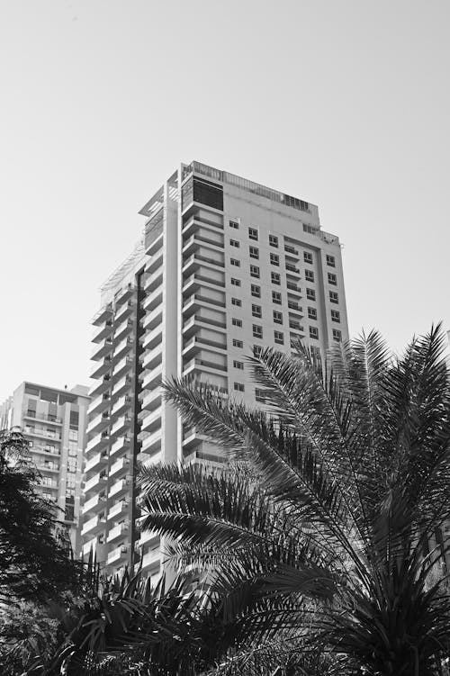 Imagine de stoc gratuită din alb-negru, cartiere rezidențiale, exterior de clădire