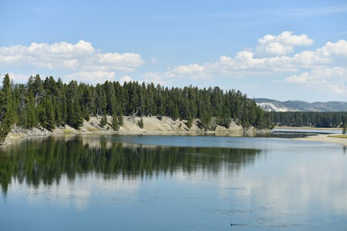 A lake with a forested shoreline and trees
