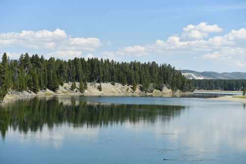 Free Serene view of a calm lake with evergreen trees in Yellowstone National Park. Stock Photo