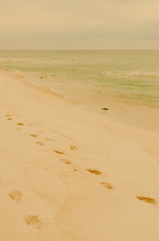 A serene view of a sandy beach with footprints extending towards the gentle ocean waves, under a warm sky.