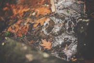 涟漪溪流中的秋叶特写镜头，展现秋色