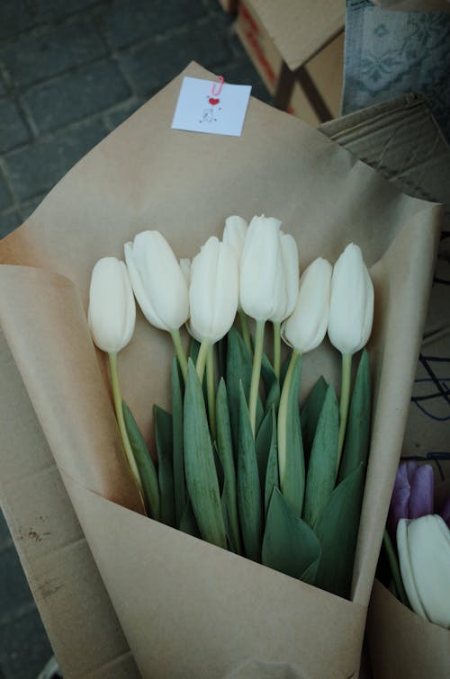 Gratis arkivbilde med blomster, bukett, fugleperspektiv