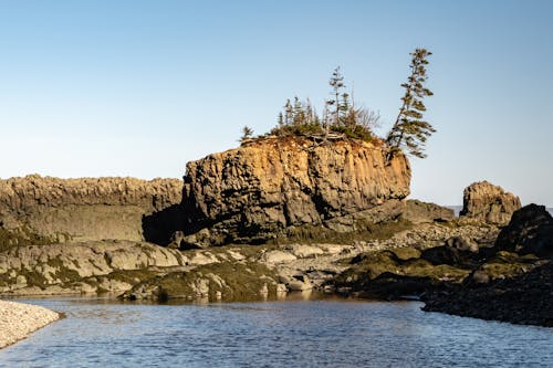 Rocky outcrop with trees and tidal pool in the foreground