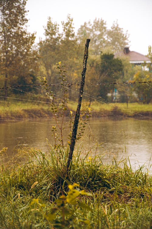 A pole in the middle of a field next to a river