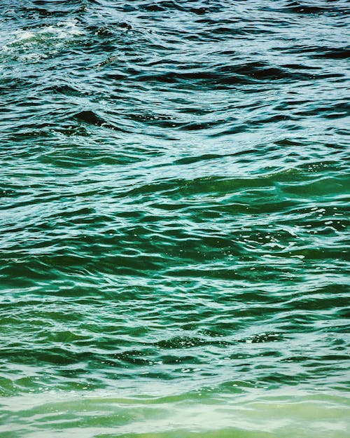 A close up of the ocean with green water
