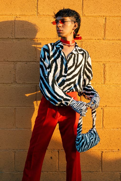 Free Stylish portrait of a model in zebra print fashion against a warm-toned wall. Stock Photo