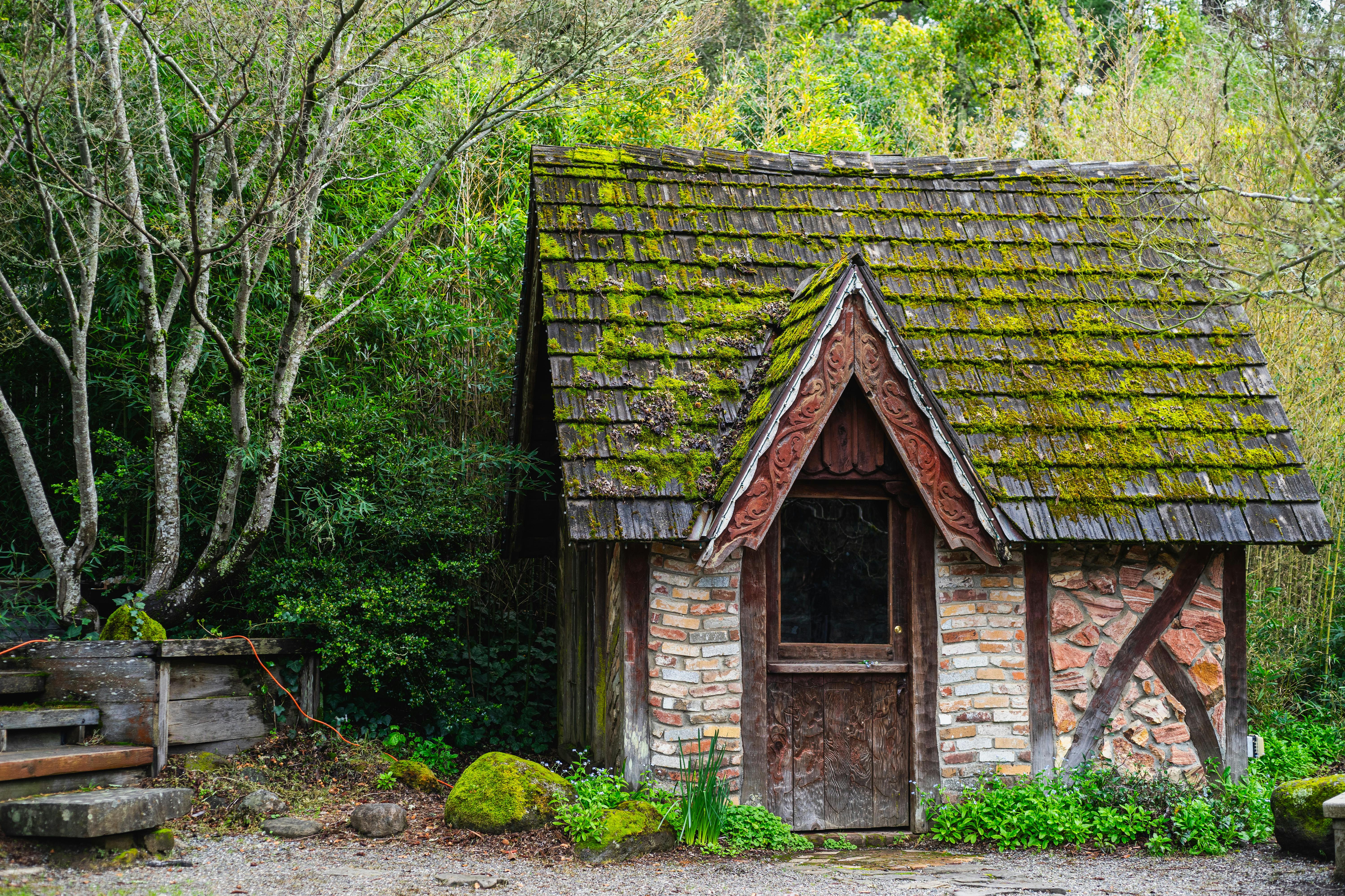 Photos gratuites de abri, arbres, architecture vintage