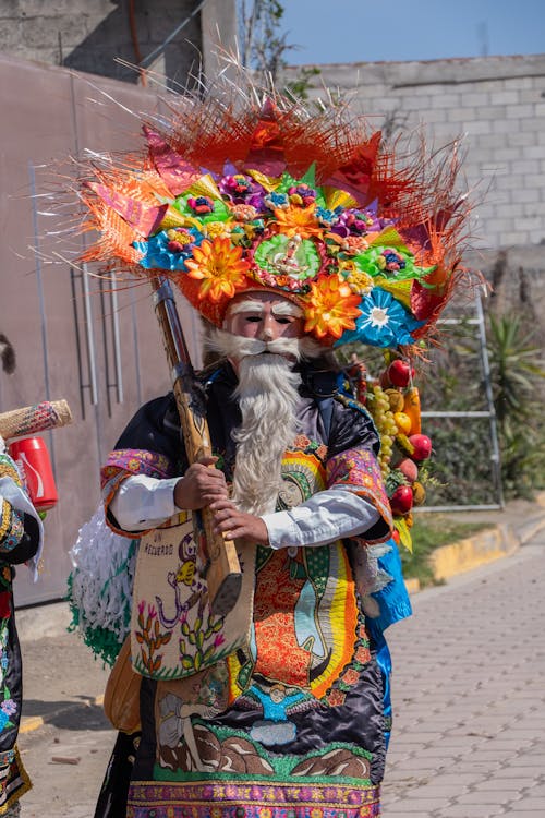 Fotos de stock gratuitas de barba gris, carnaval, celebración