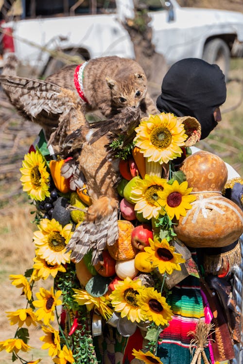 A man with a bird on his back and sunflowers