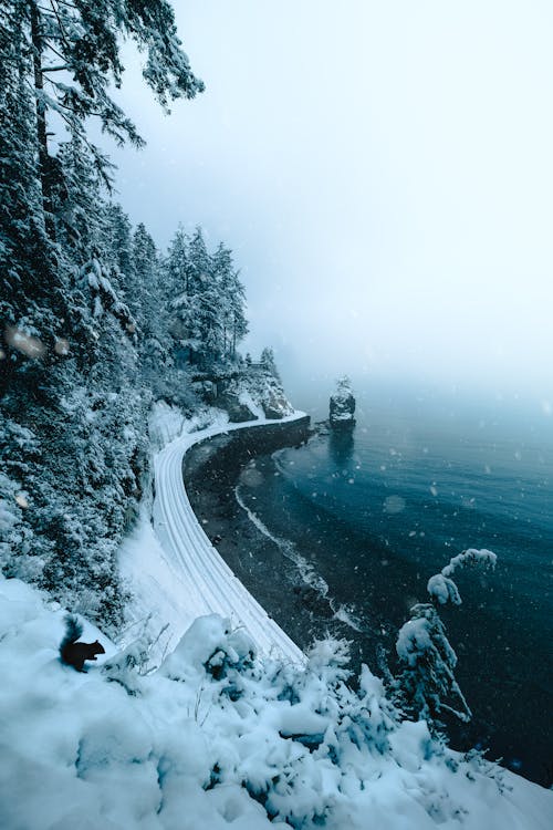 Free Road in a Snowy Landscape by the Sea Stock Photo