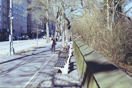 Immagine gratuita di alberi spogli, blocca, città