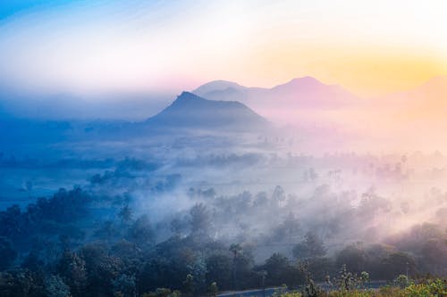 Foto d'estoc gratuïta de airejat, alba, boira