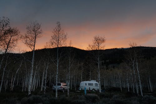 RV, 日落, 樹木 的 免費圖庫相片