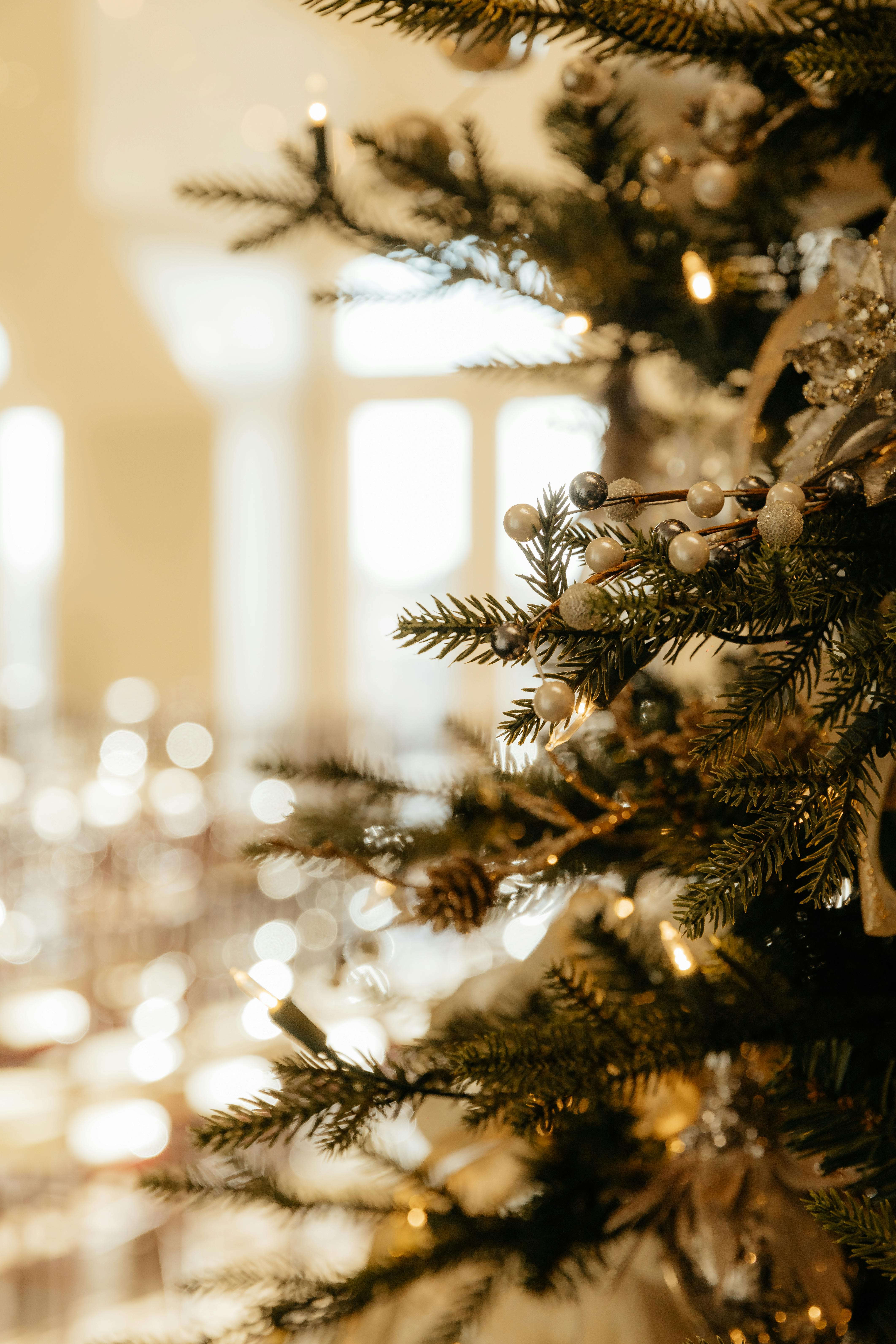 A close-up shot of a decorated Christmas tree with ornaments and lights, perfect for holiday themes.
