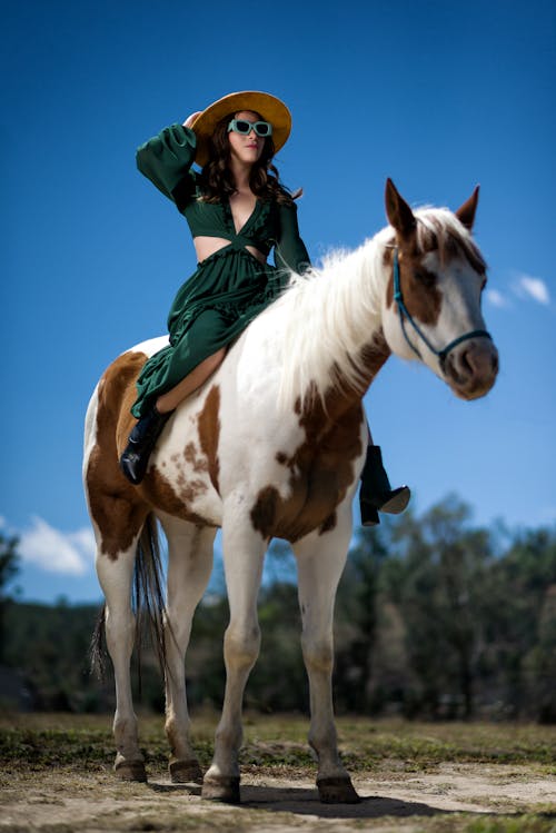 Základová fotografie zdarma na téma klobouk, kůň, model