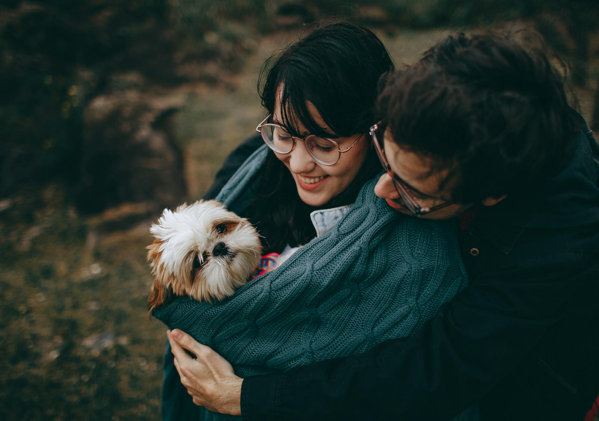 Un couple embrasse un Tan adulte et un Shih Tzu blanc lors d'une séance photo