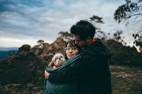 Pareja, Abrazar, Adulto, Bronceado Y Blanco, Shih Tzu