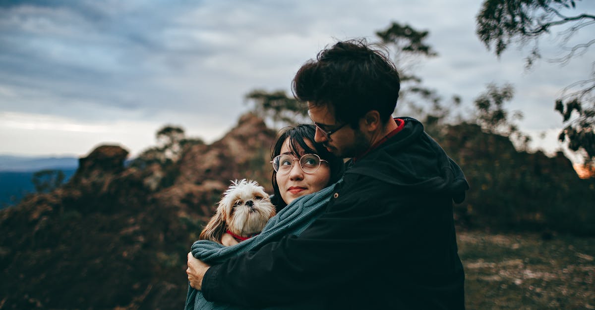 Couple Hugging Adult Tan and White Shih Tzu