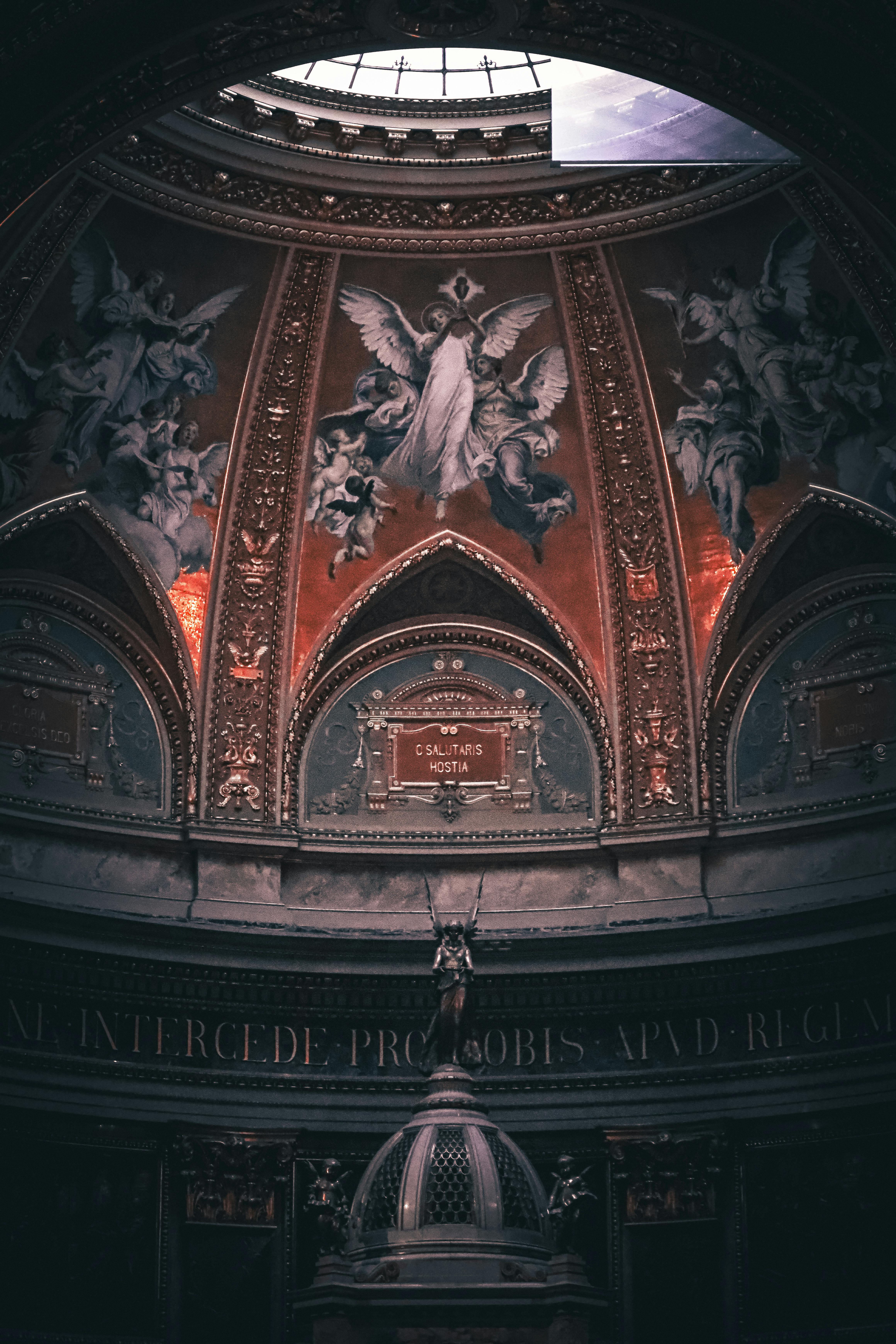 grátis Foto profissional grátis de 2023, abóboda, admiração Foto profissional