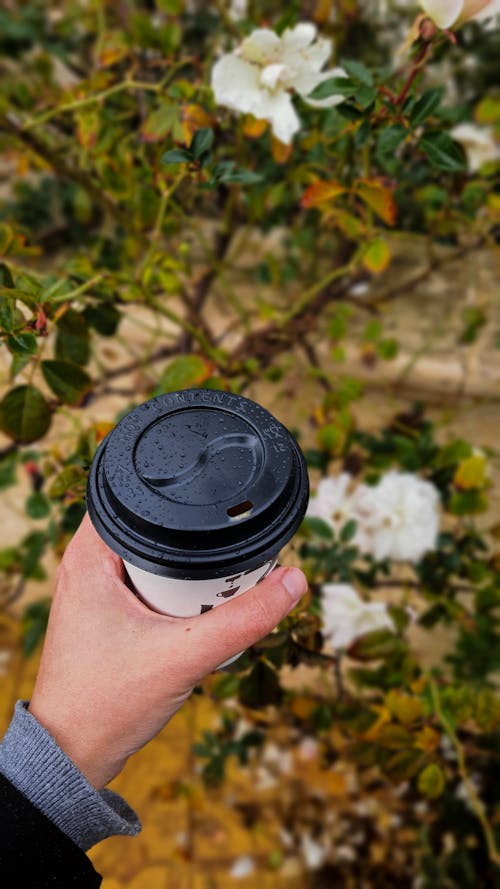 Raindrops on Cup in Hand over Flowers