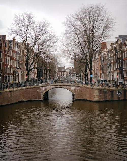 Foto d'estoc gratuïta de amsterdam, arbres, canal