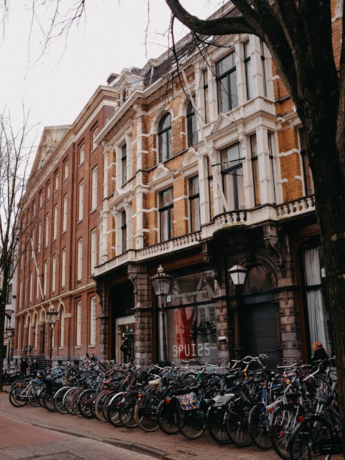 A row of bicycles parked in front of a building