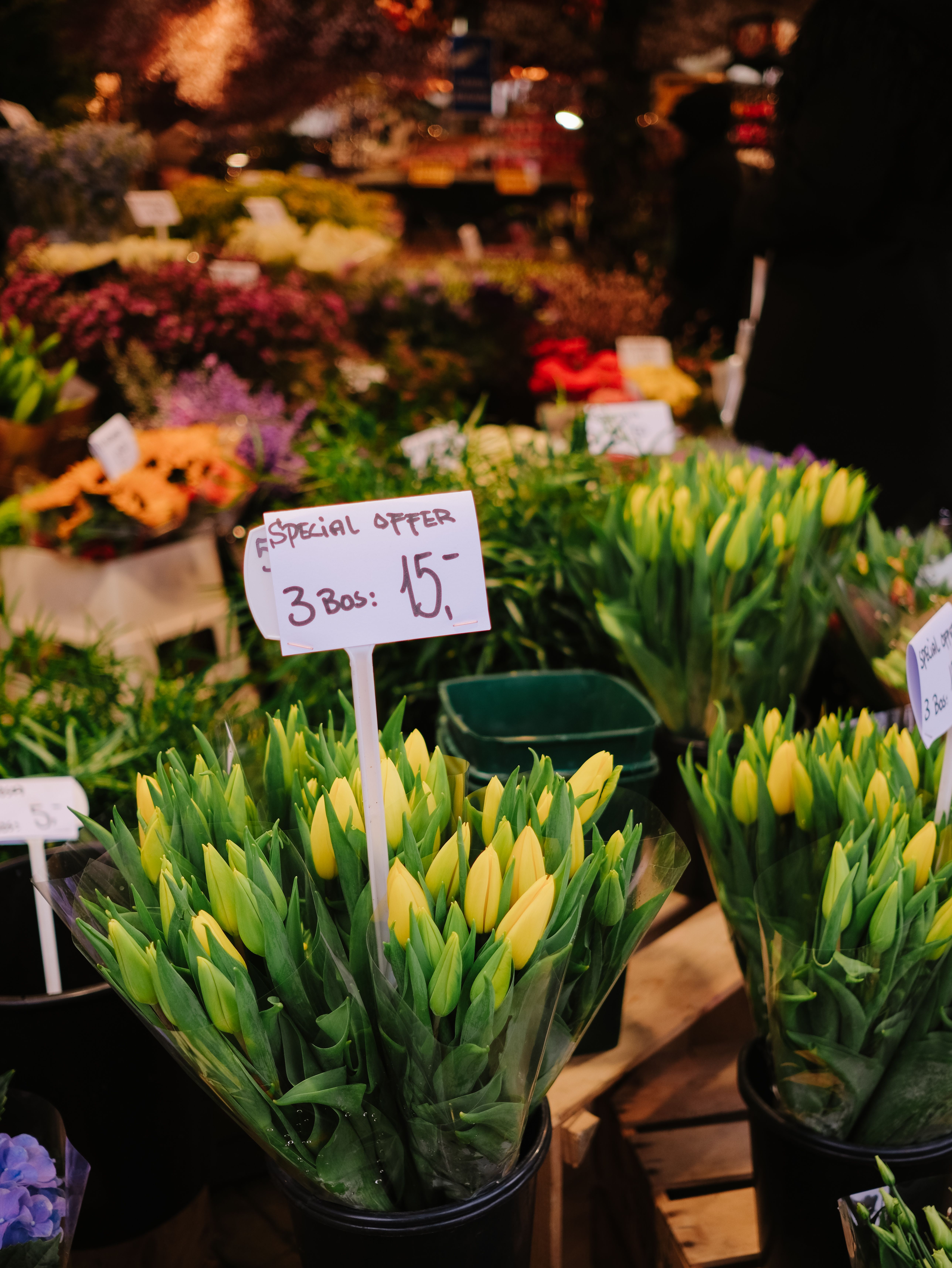 Gratis lagerfoto af basar, blomster, blomster arrangement Lagerfoto