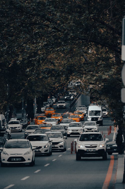 A city street with cars and trees