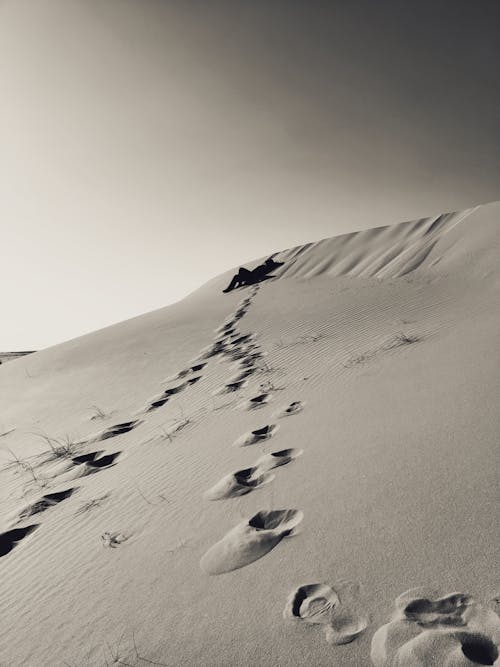 Základová fotografie zdarma na téma černobílý, duna, kopec