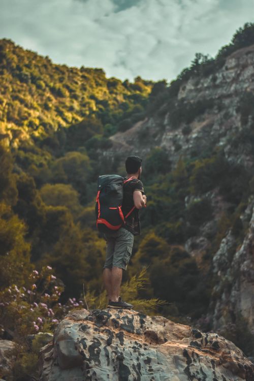 Free A man with a backpack stands on a rock, admiring the lush mountain landscape in Algeria. Stock Photo