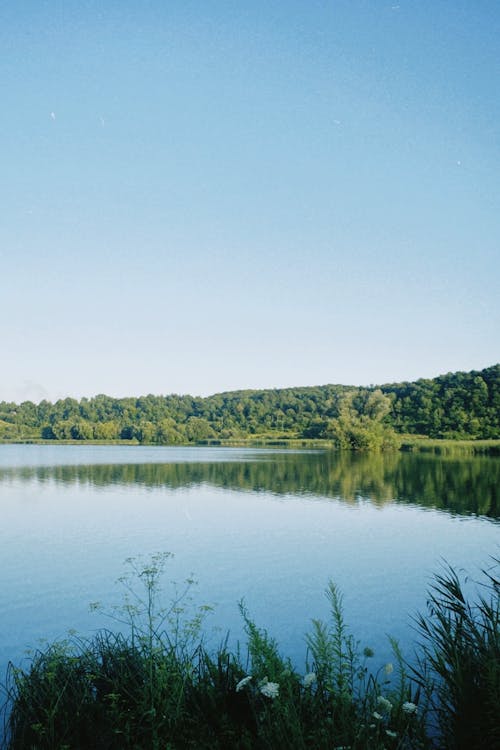 A lake with a blue sky and green grass