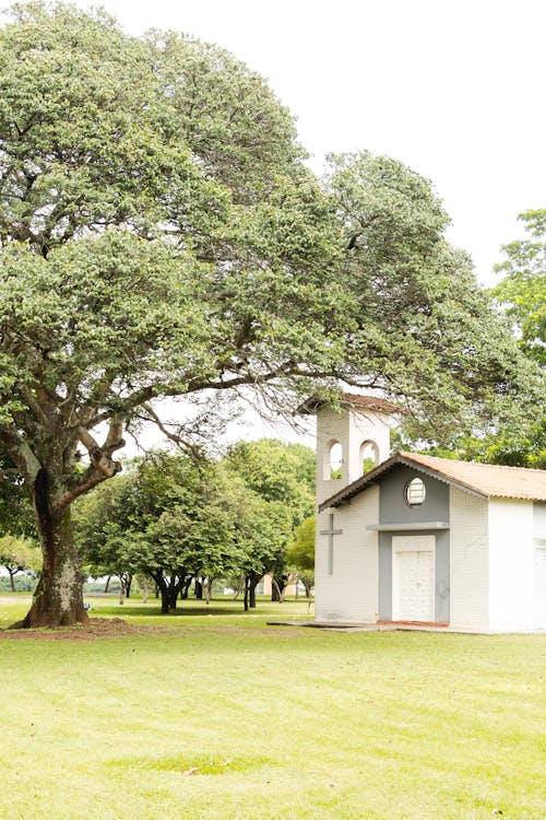 Foto d'estoc gratuïta de amor, arquitectura de l'església, capella