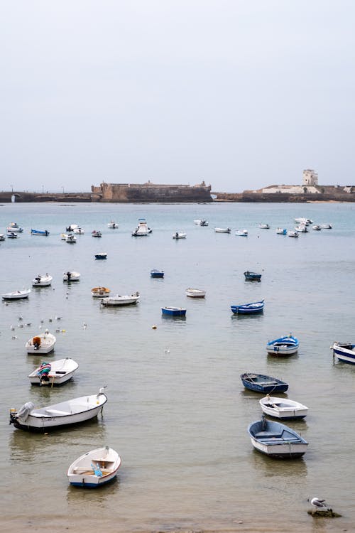 Boats in the water near a castle