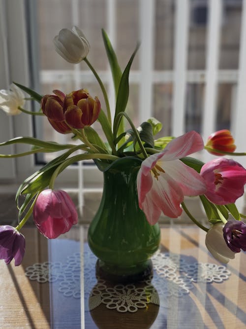 Gratis arkivbilde med blomster, blomsterarrangement, bord