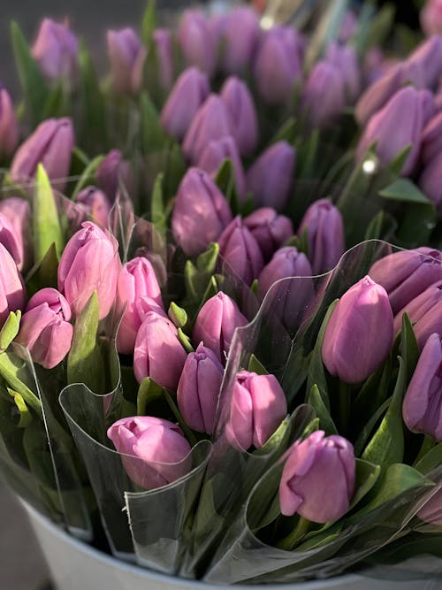 Gratis arkivbilde med blomster, blomsterbukett, bøtte